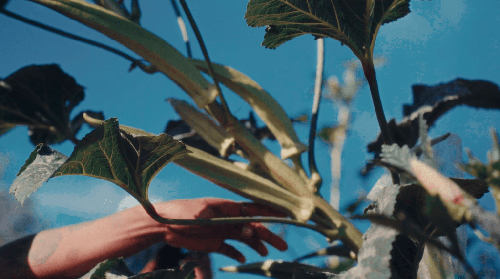 Tasting the Future of Food